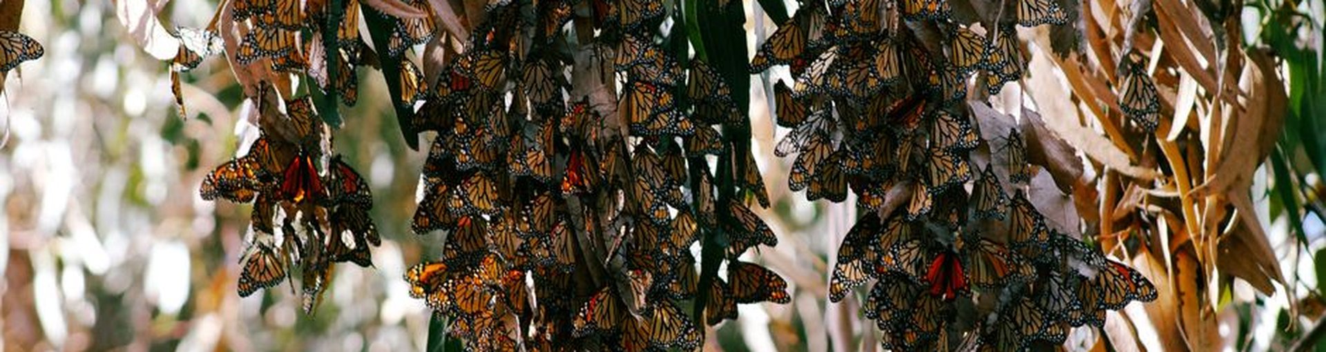 Futurelife-home2-slideshow